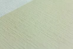 Erfurt Vliesfaser Maxx Tamis 220 Tapete Premium 6,63m² -Haus Dekoration Erfurt Vliesfaser Maxx Tamis 220 Tapete Premium 3