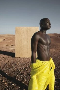 Papis Loveday Tapete 86729 Schraffur Orange Platin -Haus Dekoration Tapete Papis Loveday Orange Platin Struktur 86729 63213084 2