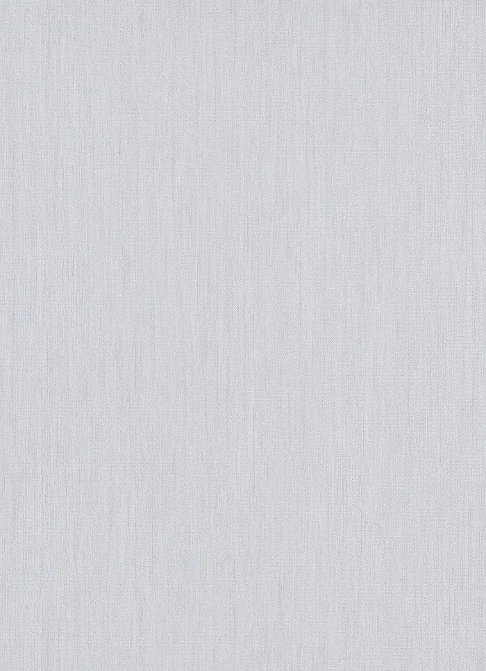 Tapete Vlies Einfarbig Meliert Grau Weiß 10034-10 4 Tapete Vlies Einfarbig Meliert Grau Weiß 10034-10 – Bild 2