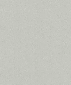Tapete Vlies Uni Strukturiert Hellgrau Rasch 474930